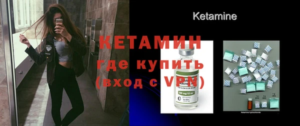 прущие грибы Бородино