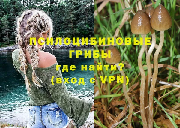 mix Богородск